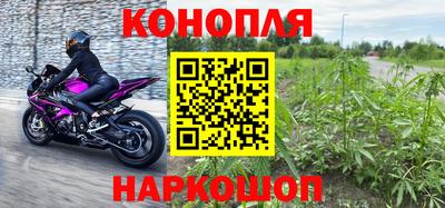 спиды Донской