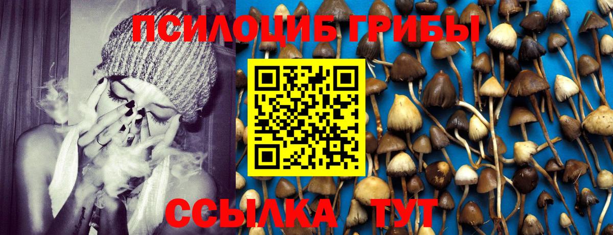 Галлюциногенные грибы мицелий Кисловодск